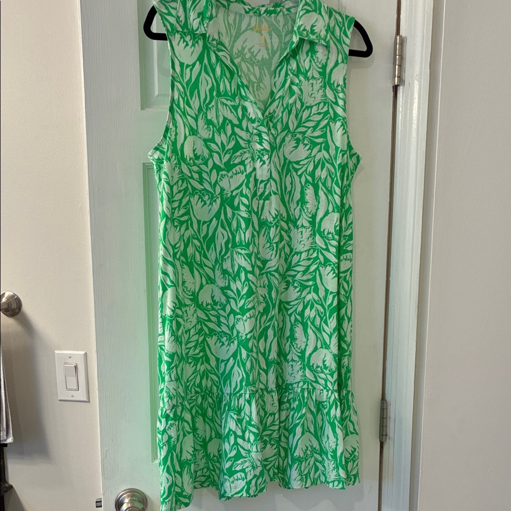 Lilly Pulitzer Green and White Patterned Dress